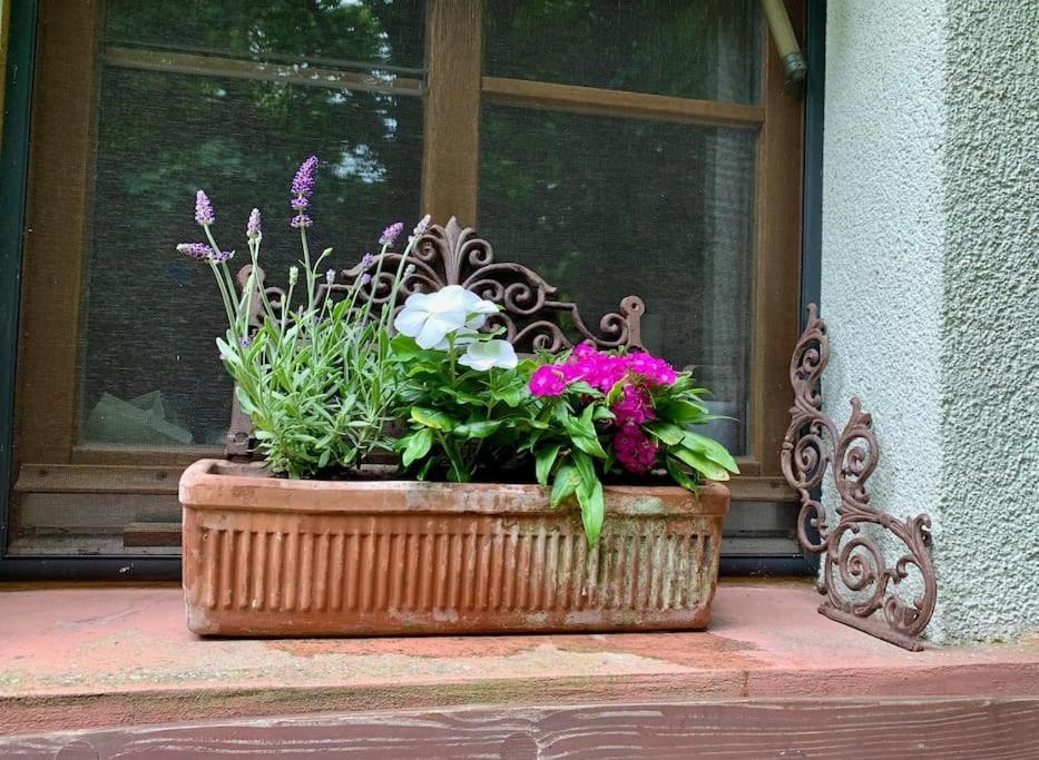 Ferienwohnung In Historischer Muehle Buchen  Exteriör bild